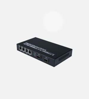 MT-2204G2G-SFP
